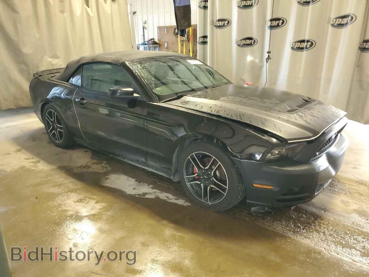 2013 FORD MUSTANG - VIN: 1ZVBP8EM7D5248234 - Фото 4