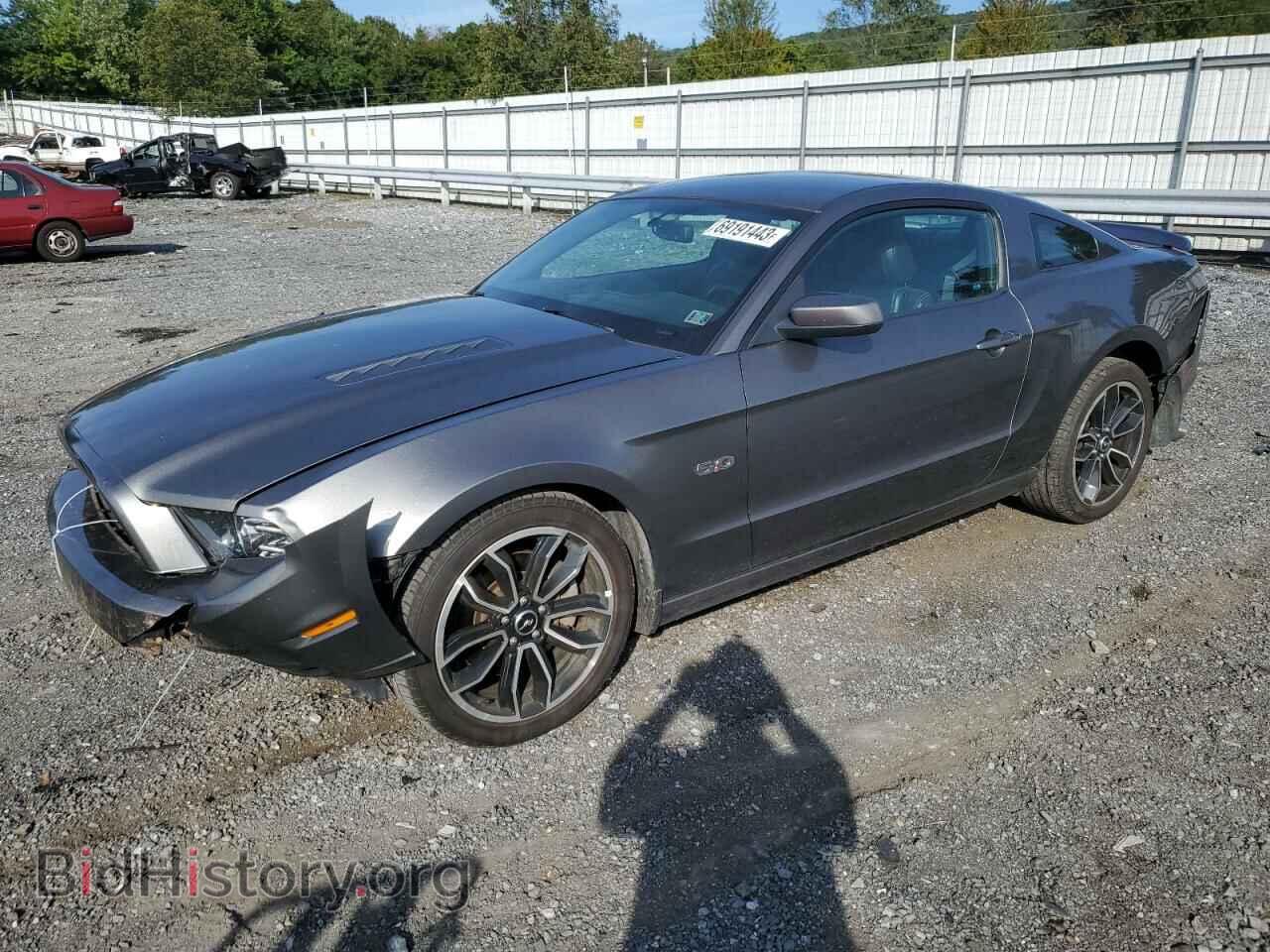 Фотография 1ZVBP8CF5D5248639 - FORD MUSTANG 2013