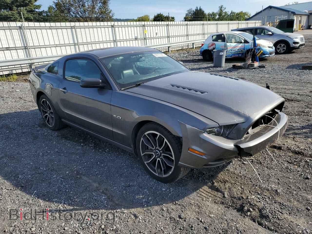 2013 FORD MUSTANG - VIN: 1ZVBP8CF5D5248639 - Фото 4