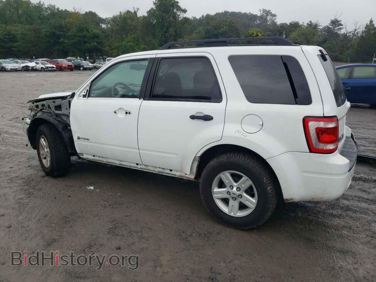 2009 FORD ESCAPE - VIN: 1FMCU59359KC19397 - Фото 2