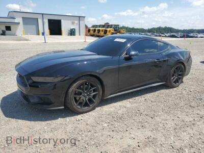 2025 Ford ALL MODELS, черный — VIN 1FA6P8TH0S5124853, Copart