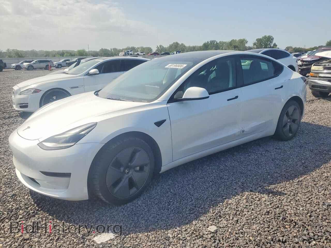 Photo 5YJ3E1EA5PF401769 - TESLA MODEL 3 2023