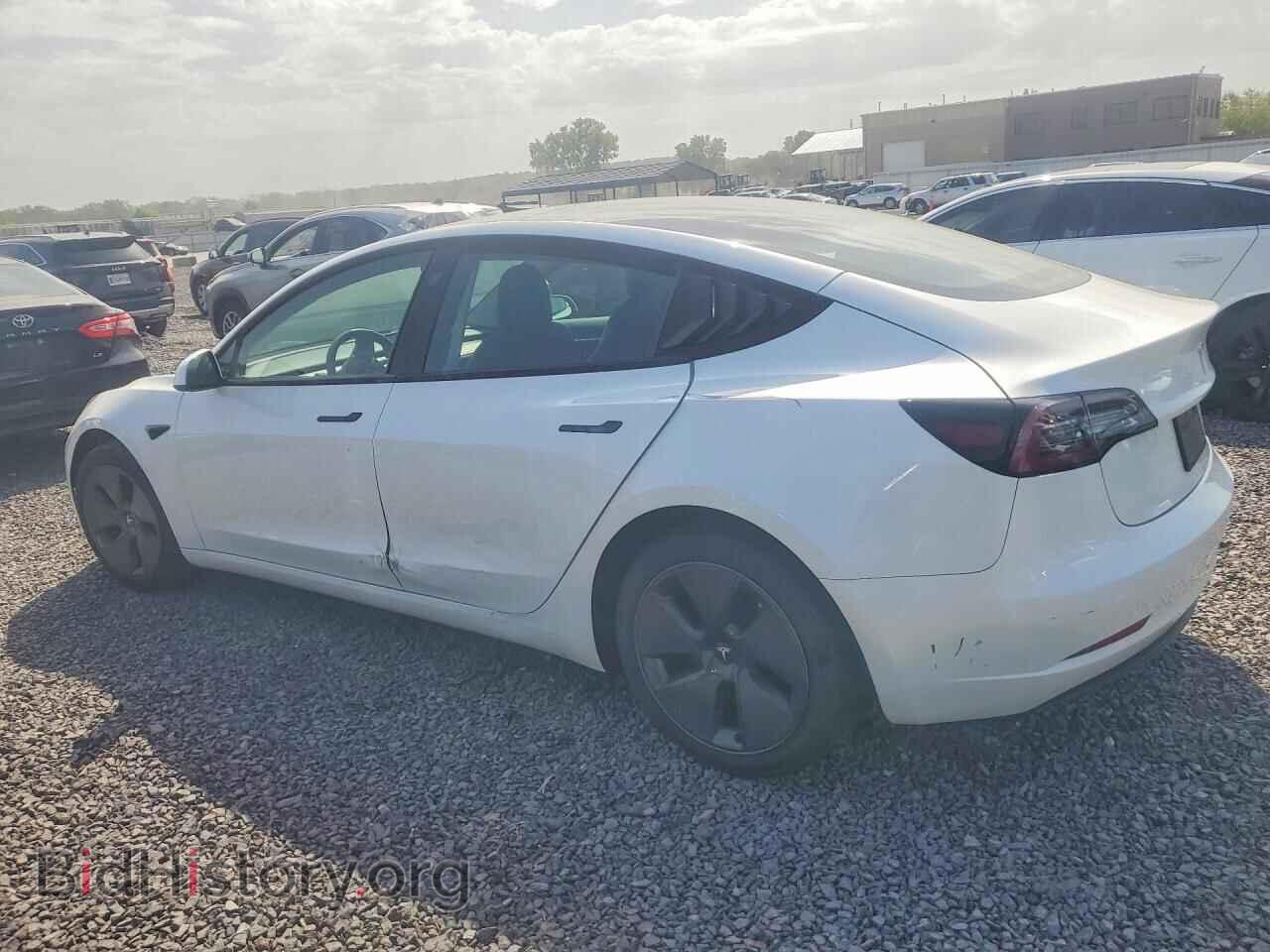 2023 TESLA MODEL 3 - VIN: 5YJ3E1EA5PF401769 - Photo 2