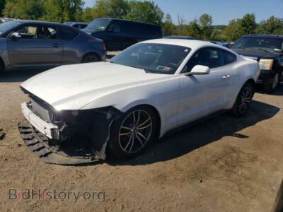2017 Ford ALL MODELS, белый — VIN 1FA6P8TH0H5258223, Copart