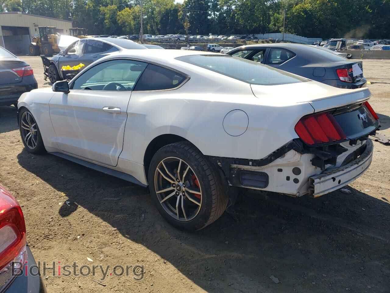 2017 FORD ALL Models - VIN: 1FA6P8TH0H5258223 - Фото 2
