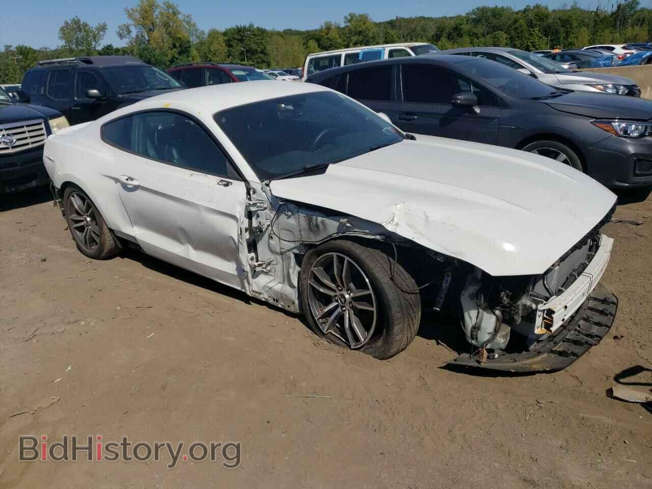 2017 FORD ALL Models - VIN: 1FA6P8TH0H5258223 - Фото 4
