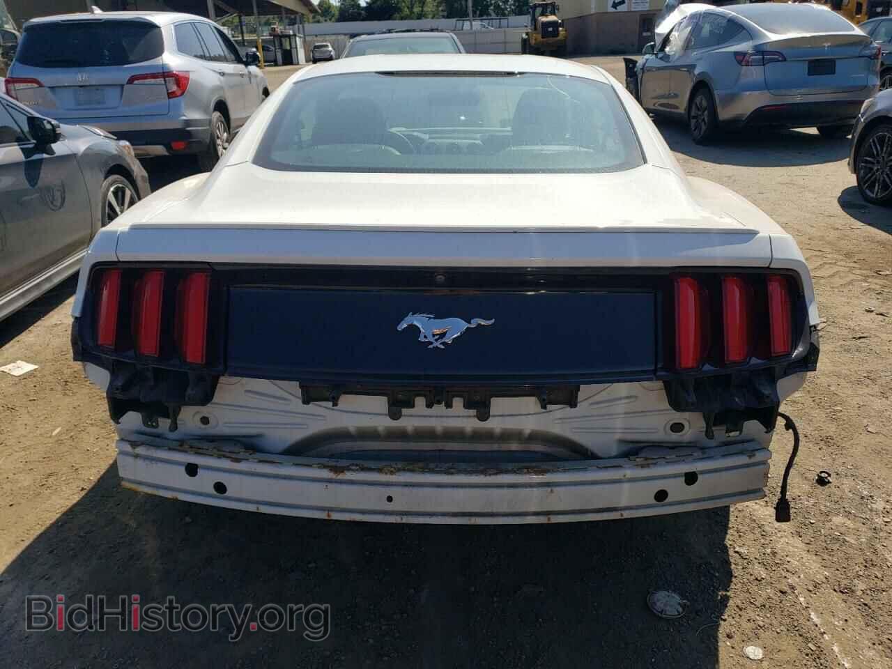 2017 FORD ALL Models - VIN: 1FA6P8TH0H5258223 - Фото 6