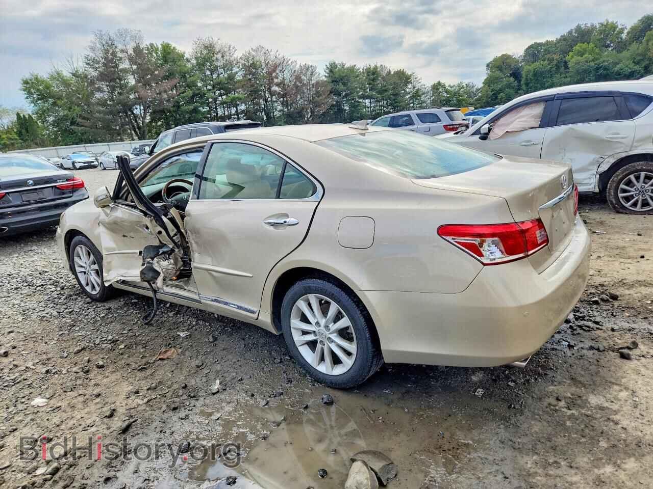 2011 LEXUS ES350 - VIN: JTHBK1EGXB2443034 - Фото 2
