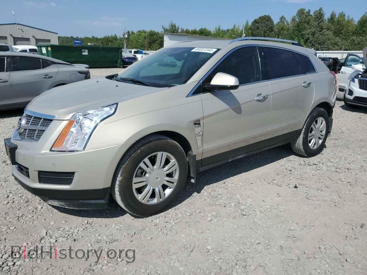 Фотография 3GYFNAE31CS506996 - CADILLAC SRX 2012