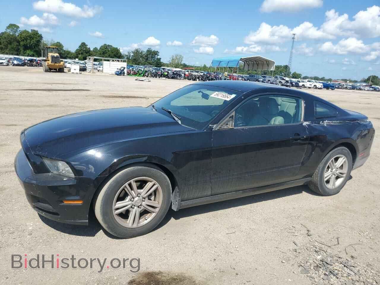 Photo 1ZVBP8AM6D5252216 - FORD ALL Models 2013
