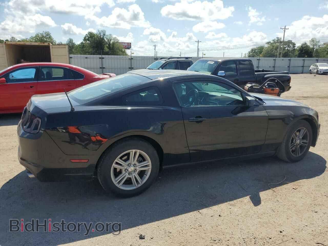2013 FORD ALL Models - VIN: 1ZVBP8AM6D5252216 - Фото 3