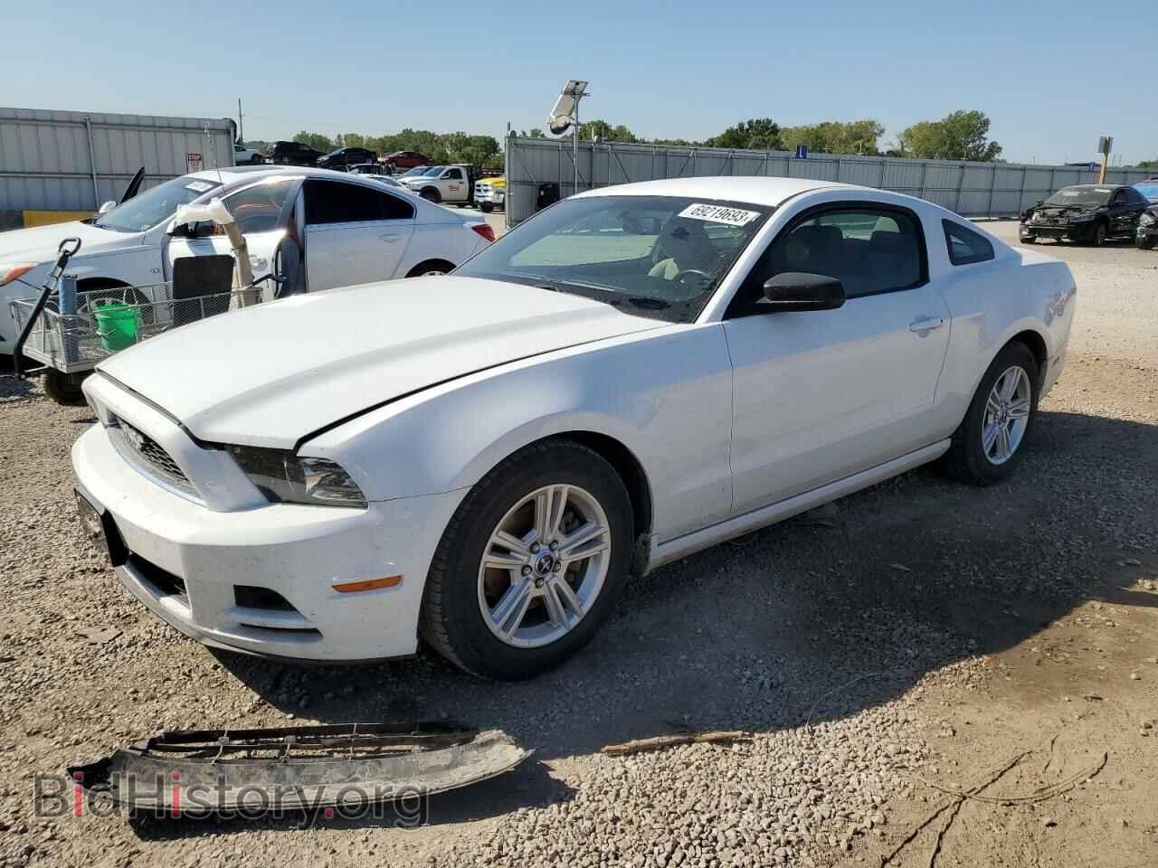 Photo 1ZVBP8AM4E5334205 - FORD ALL Models 2014