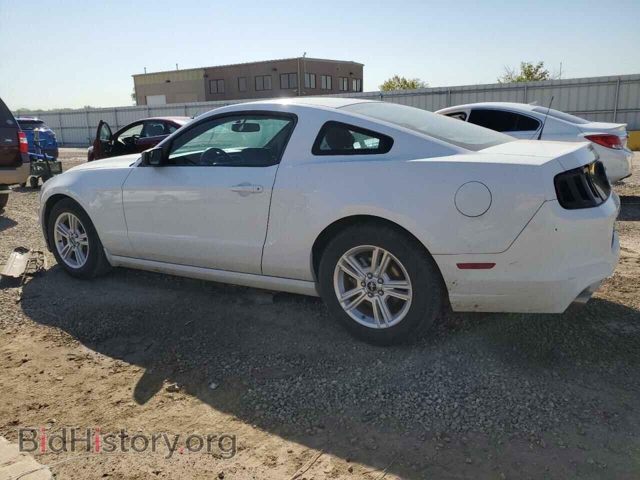 2014 FORD ALL Models - VIN: 1ZVBP8AM4E5334205 - Photo 2