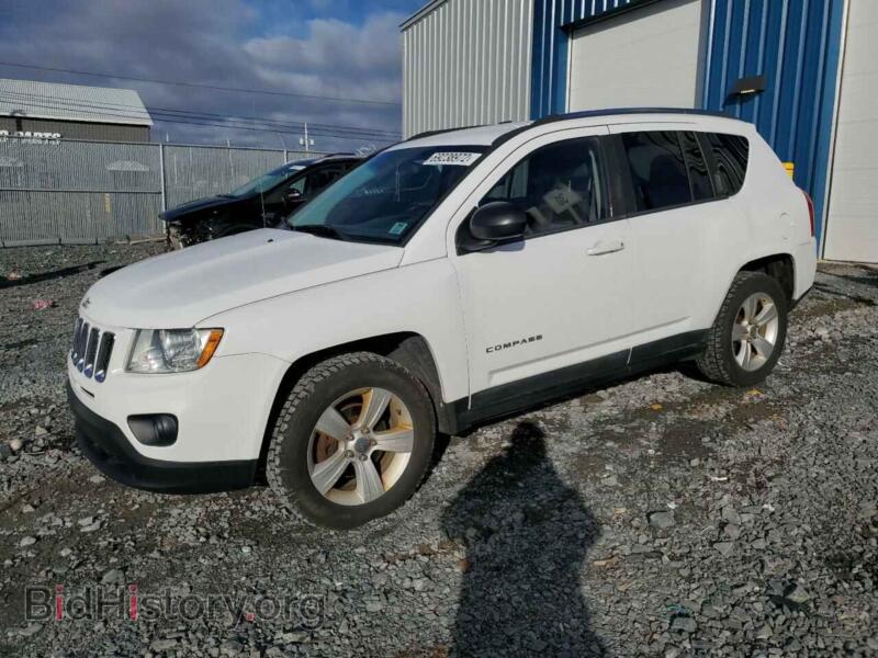2011 Jeep COMPASS (VIN 1J4NF4FB4BD169528) — фото 1 из 13, Copart, повреждение: бок