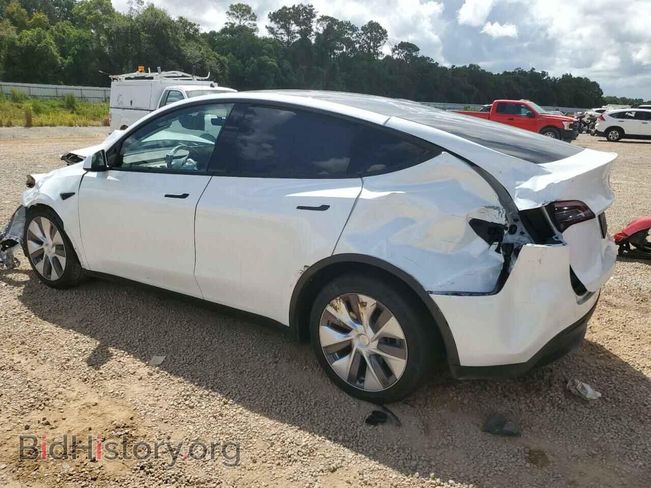 2023 TESLA MODEL Y - VIN: 7SAYGDEE4PA069456 - Фото 2