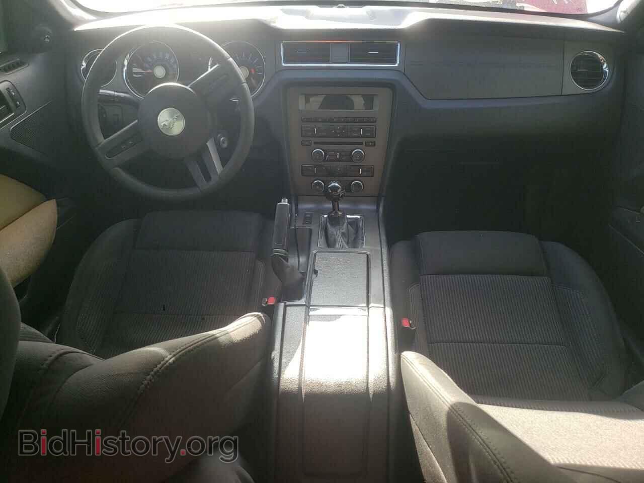 2012 FORD MUSTANG - VIN: 1ZVBP8CF9C5209017 - Фото 8