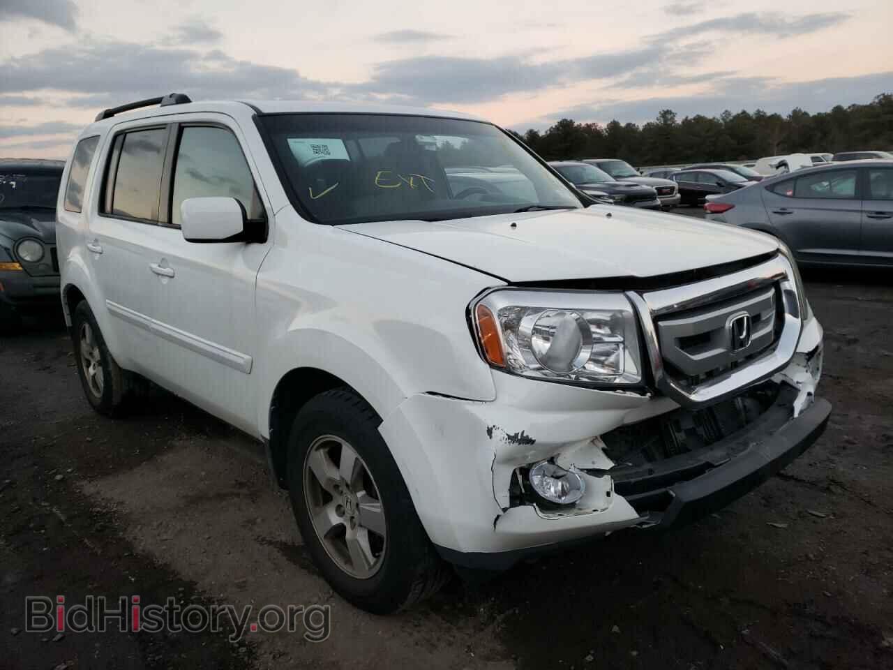 Photo 5FNYF4H41BB004501 - HONDA PILOT 2011