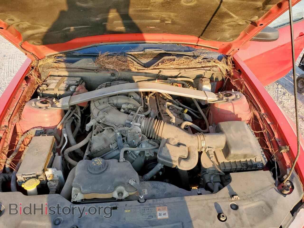 2012 FORD ALL Models - VIN: 1ZVBP8EM5C5230555 - Фото 11