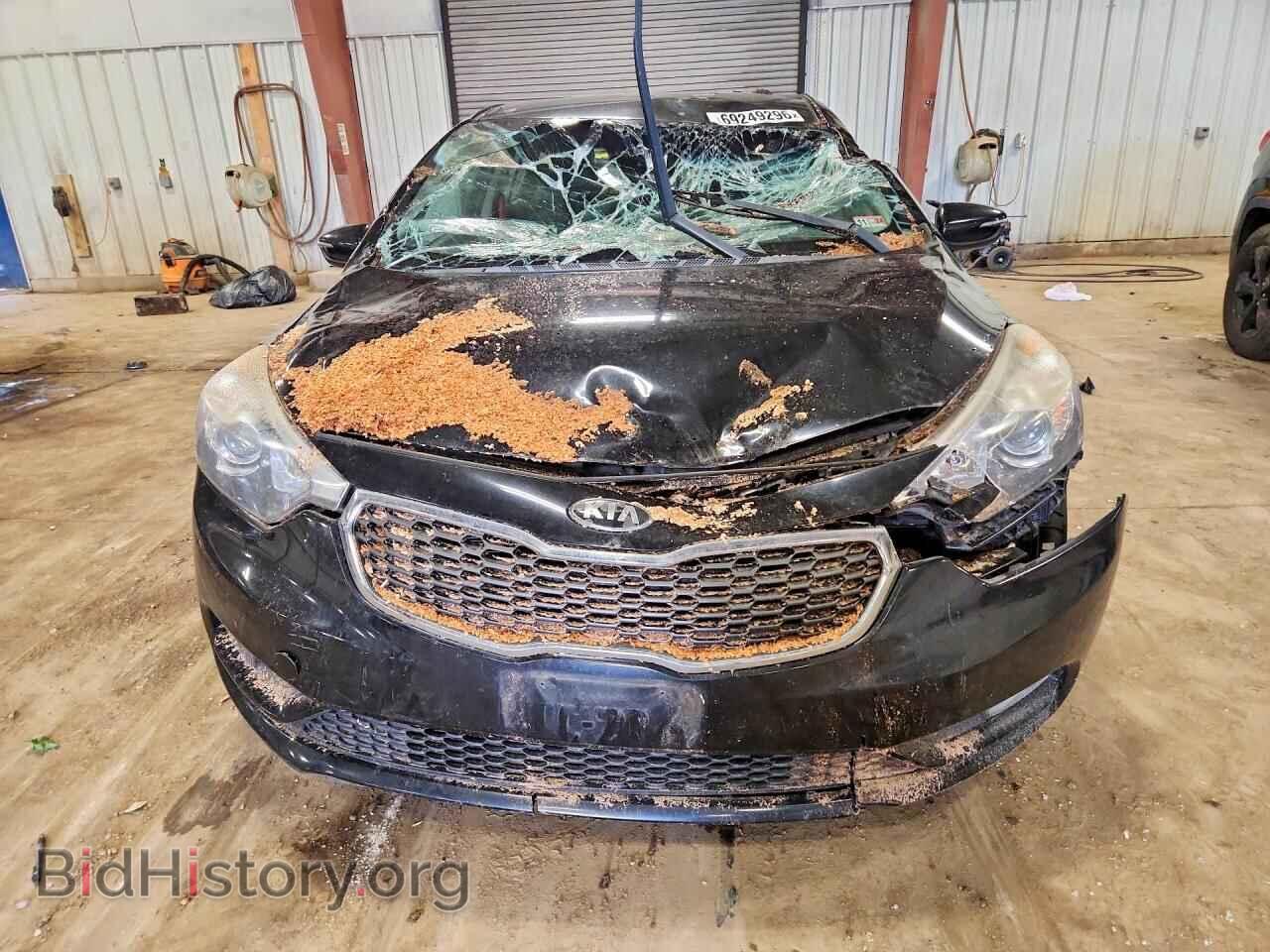 2014 KIA FORTE - VIN: KNAFX4A82E5157599 - Фото 5