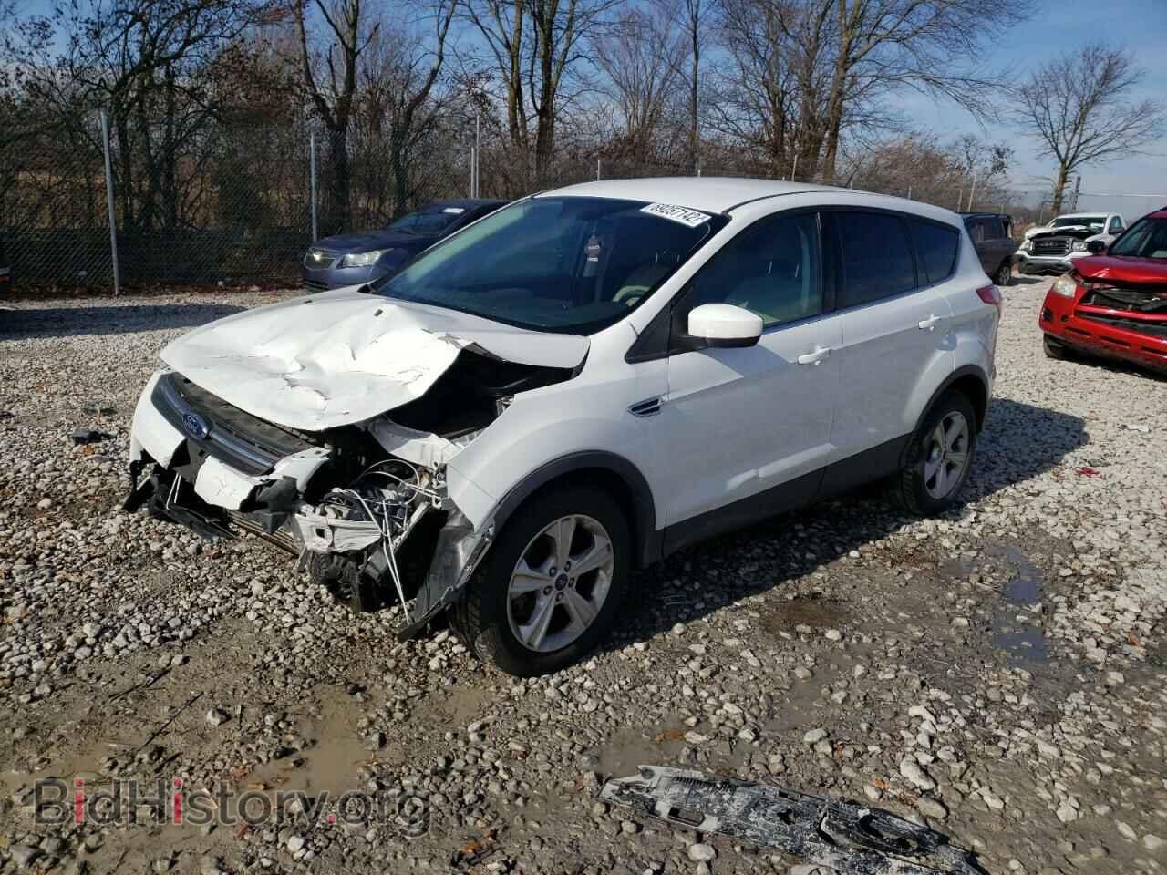 Фотография 1FMCU0GX9DUA74175 - FORD ESCAPE 2013
