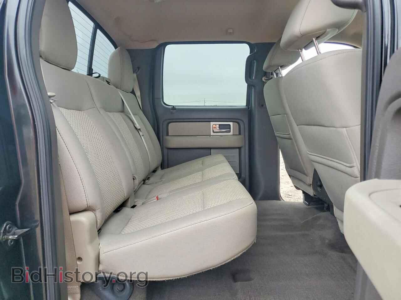 2010 FORD F150 - VIN: 1FTFW1EV3AFD65368 - Фото 10