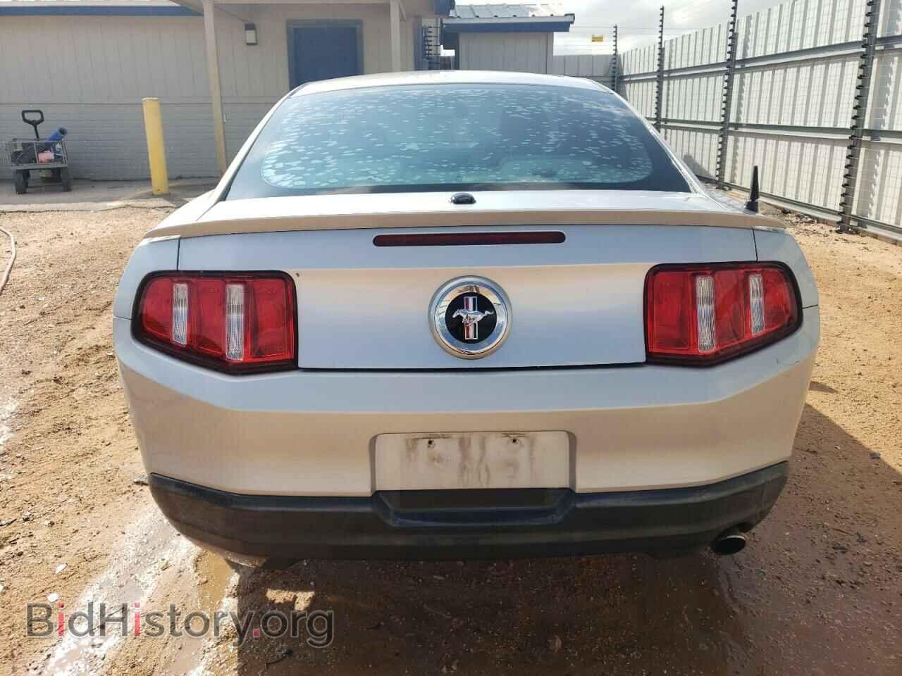 2010 FORD ALL Models - VIN: 1ZVBP8AN2A5128710 - Фото 6