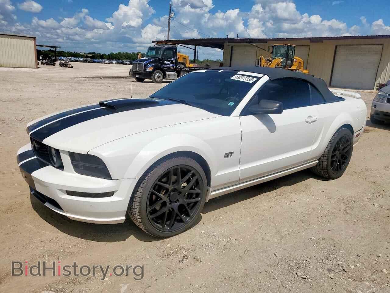 Фотография 1ZVHT85H255211280 - FORD MUSTANG 2005