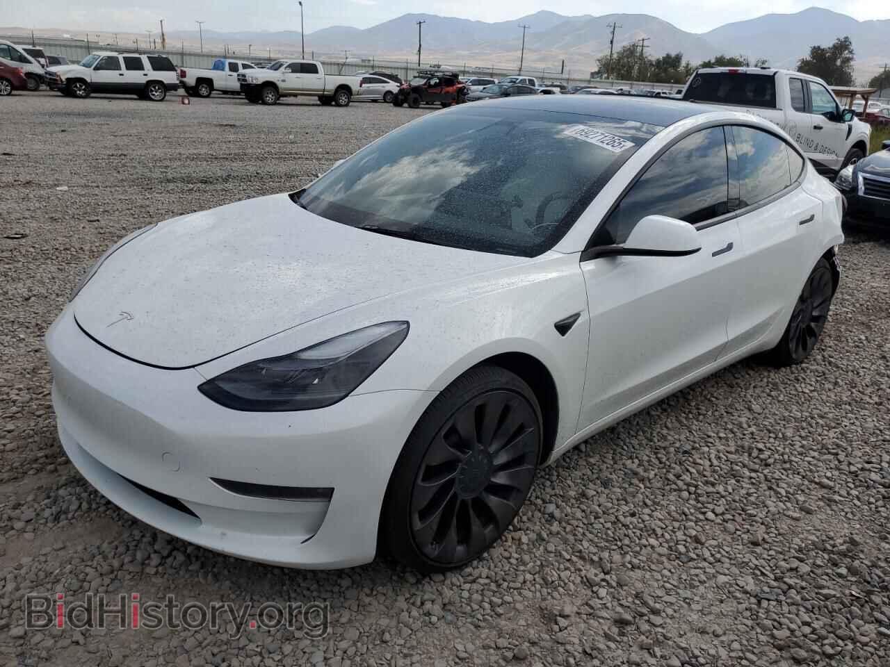 Photo 5YJ3E1EC3PF505484 - TESLA MODEL 3 2023