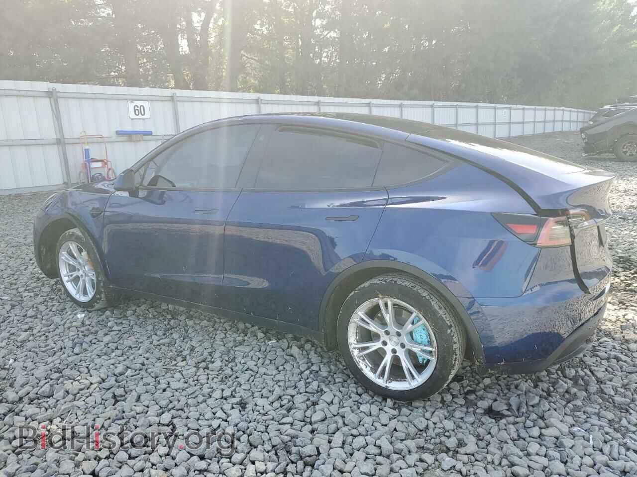 2022 TESLA MODEL Y - VIN: 7SAYGDEEXNF531809 - Фото 2