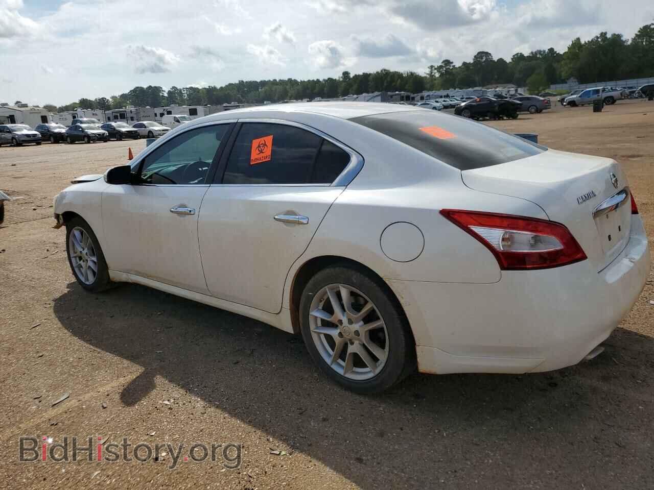2009 NISSAN MAXIMA - VIN: 1N4AA51E19C852464 - Фото 2