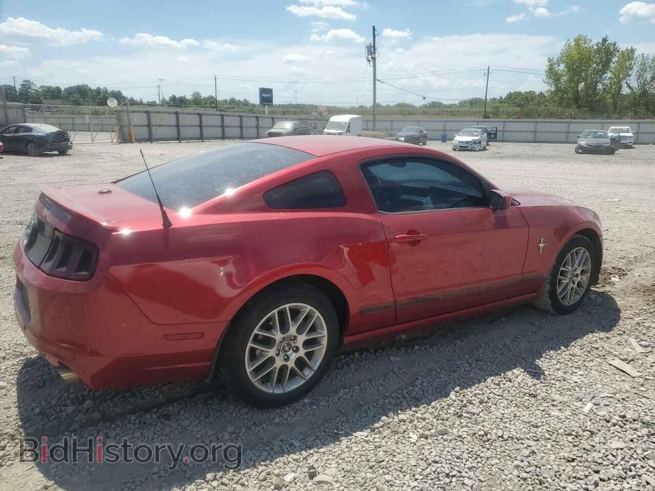2013 FORD ALL Models - VIN: 1ZVBP8AM6D5201959 - Фото 3