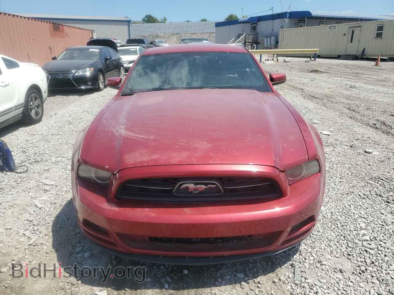 2013 FORD ALL Models - VIN: 1ZVBP8AM6D5201959 - Фото 5