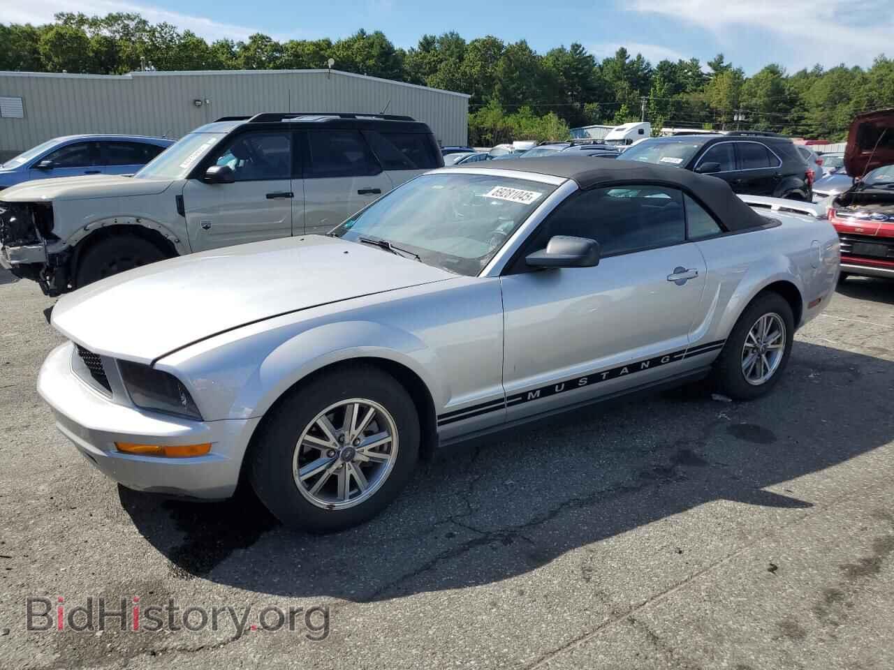 Photo 1ZVHT84N155257657 - FORD ALL Models 2005