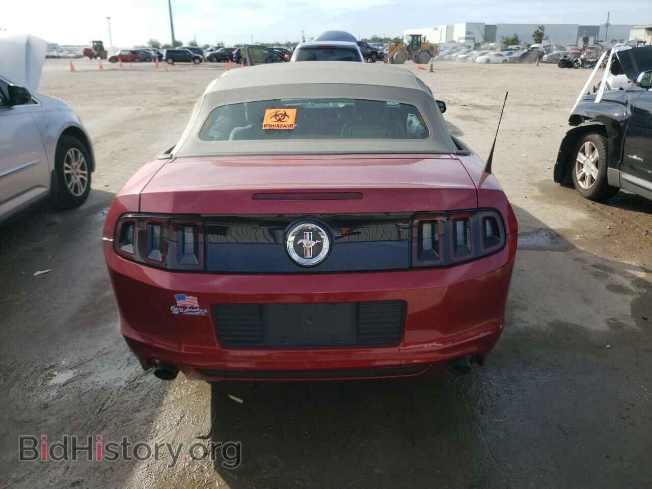2014 FORD MUSTANG - VIN: 1ZVBP8EM0E5323051 - Фото 6