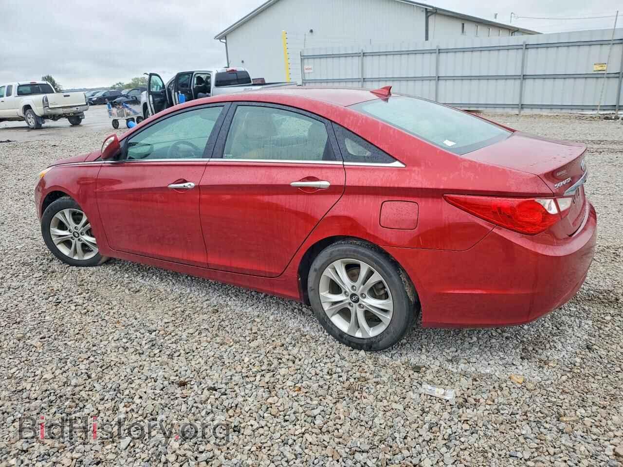2013 HYUNDAI SONATA - VIN: 5NPEC4AC6DH774629 - Фото 2