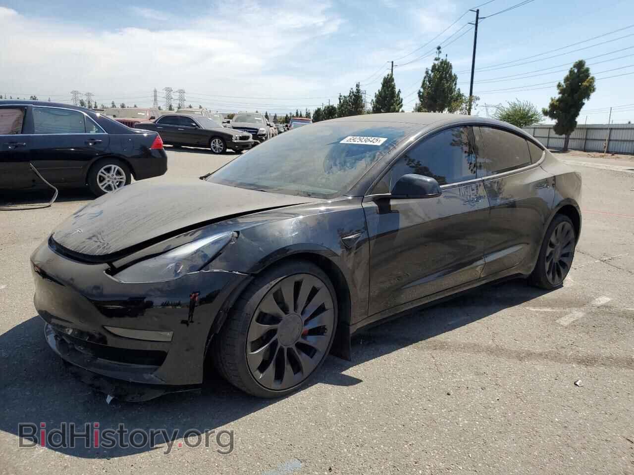 Photo 5YJ3E1EC6PF711334 - TESLA MODEL 3 2023