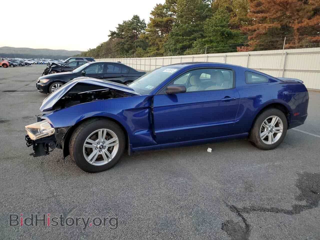 Фотография 1ZVBP8AM4D5276935 - FORD ALL Models 2013