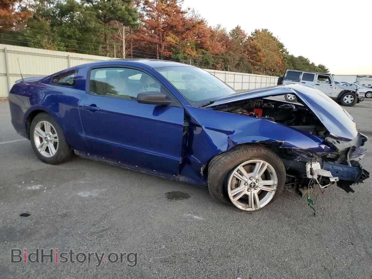 2013 FORD ALL Models - VIN: 1ZVBP8AM4D5276935 - Фото 4