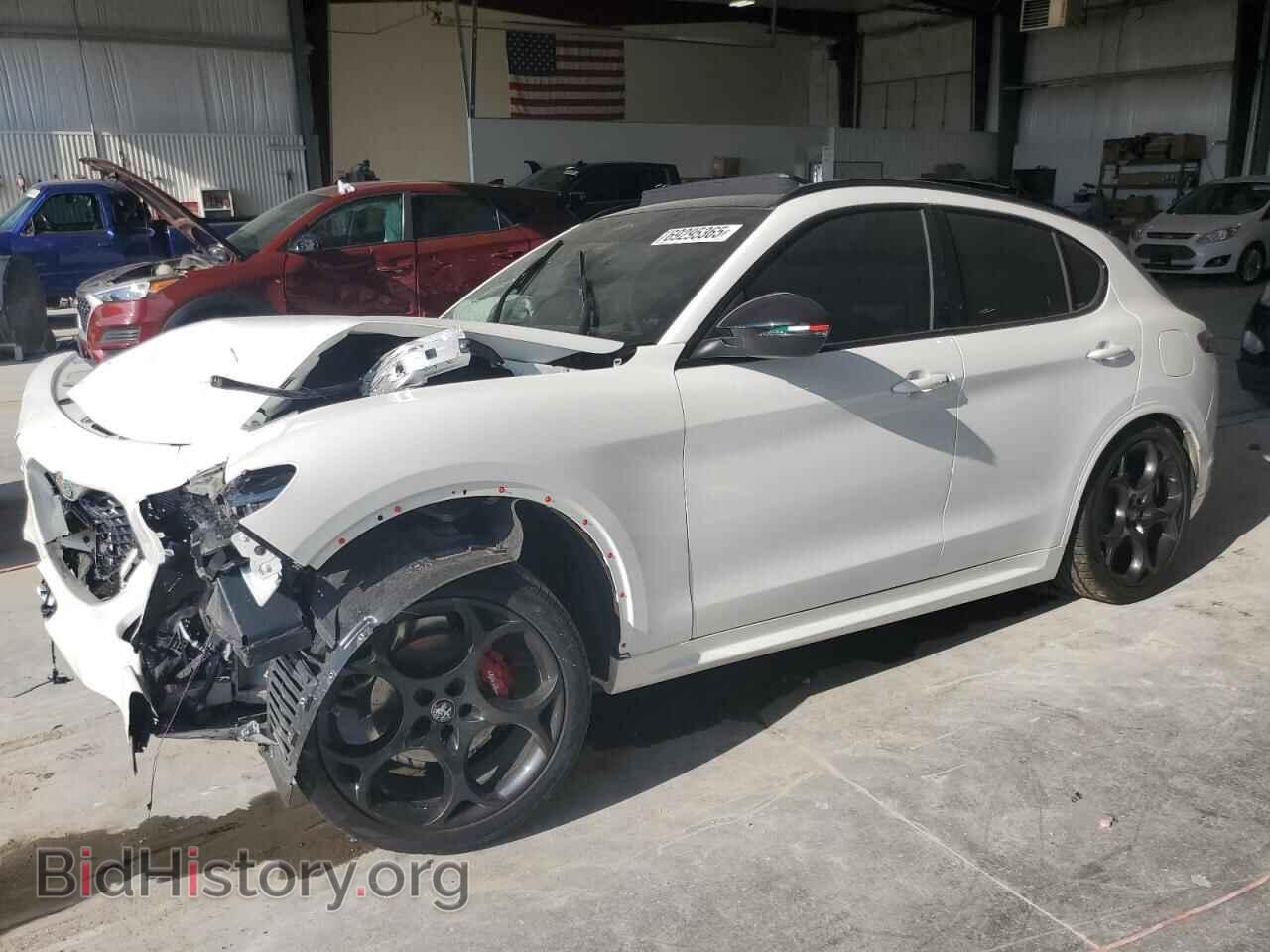 Фотография ZASPAKBN9S7D96432 - ALFA ROMEO STELVIO TR 2025