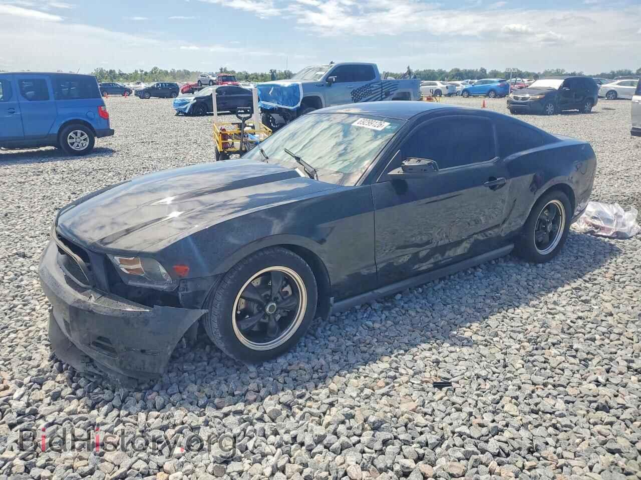 Фотография 1ZVBP8AM2B5164535 - FORD MUSTANG 2011