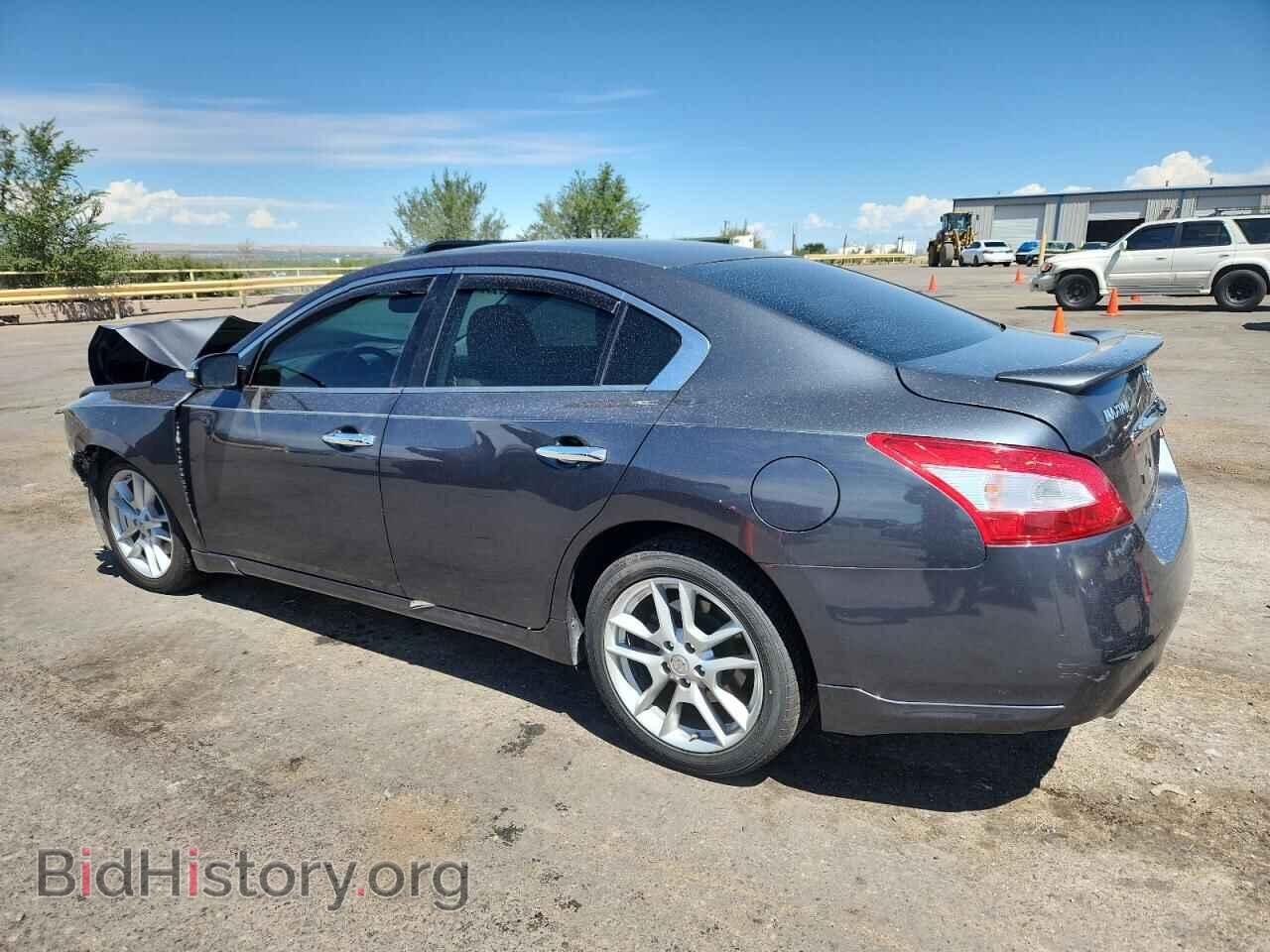 2009 NISSAN MAXIMA - VIN: 1N4AA51E69C834140 - Фото 2