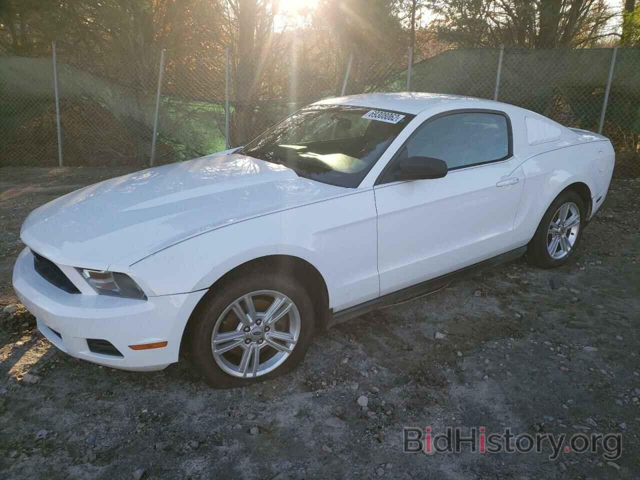 Photo 1ZVBP8AM6C5252411 - FORD MUSTANG 2012