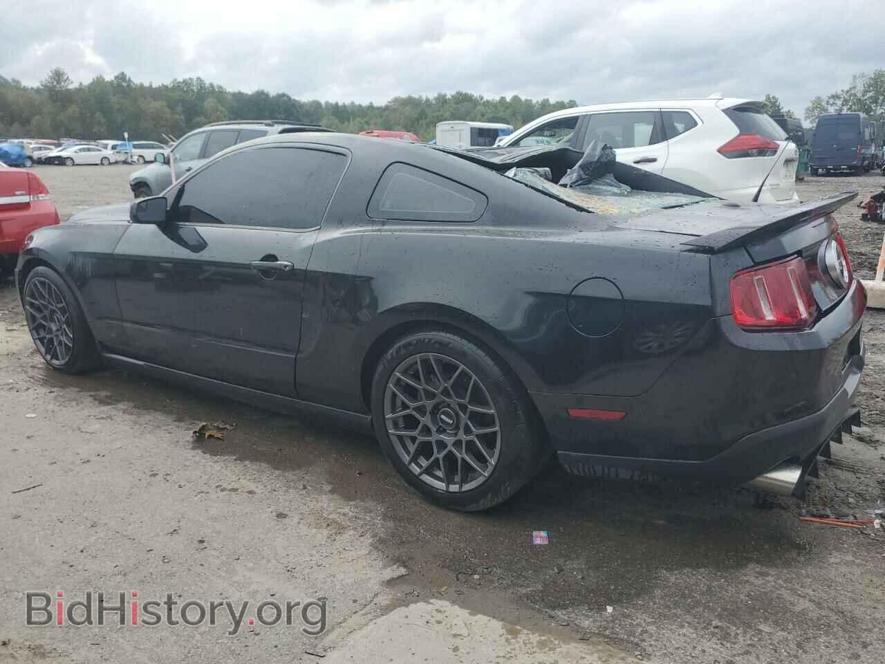 2012 FORD MUSTANG - VIN: 1ZVBP8CF4C5245021 - Фото 2