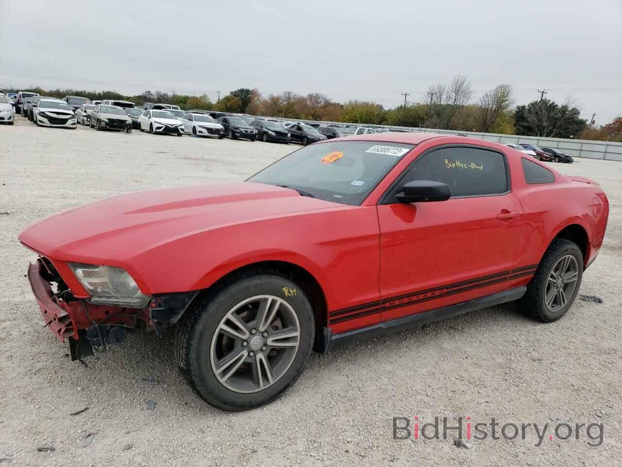 Photo 1ZVBP8AN5A5166786 - FORD MUSTANG 2010