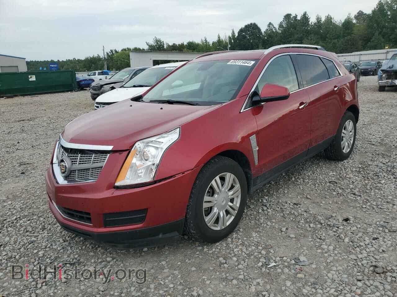 Photo 3GYFNDEY6AS604870 - CADILLAC SRX 2010