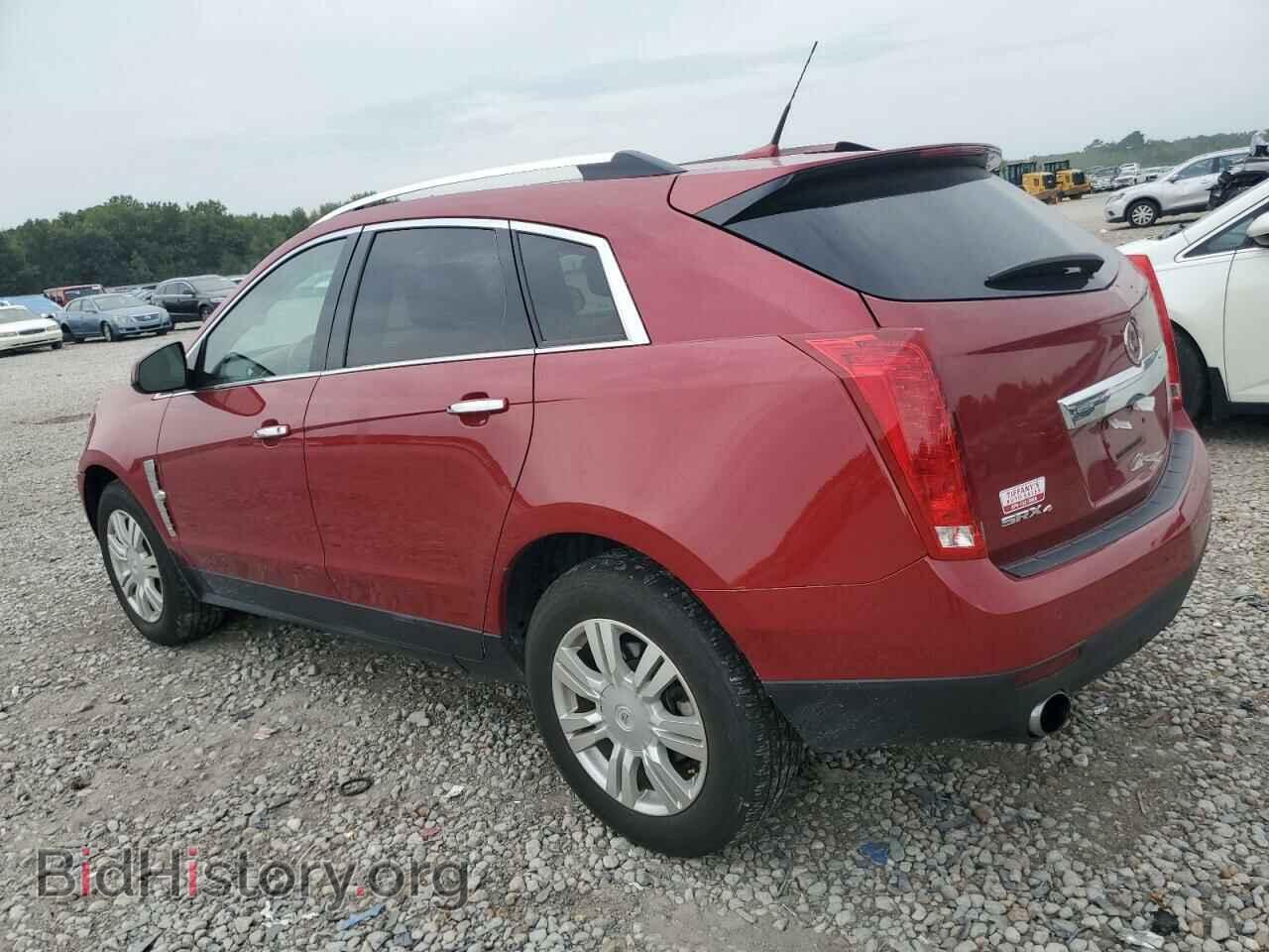 2010 CADILLAC SRX - VIN: 3GYFNDEY6AS604870 - Фото 2