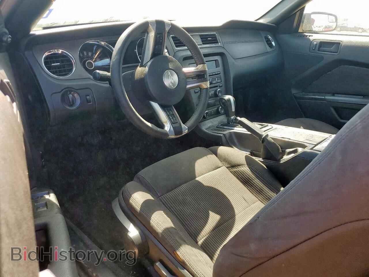 2013 FORD ALL Models - VIN: 1ZVBP8EM2D5217442 - Фото 8