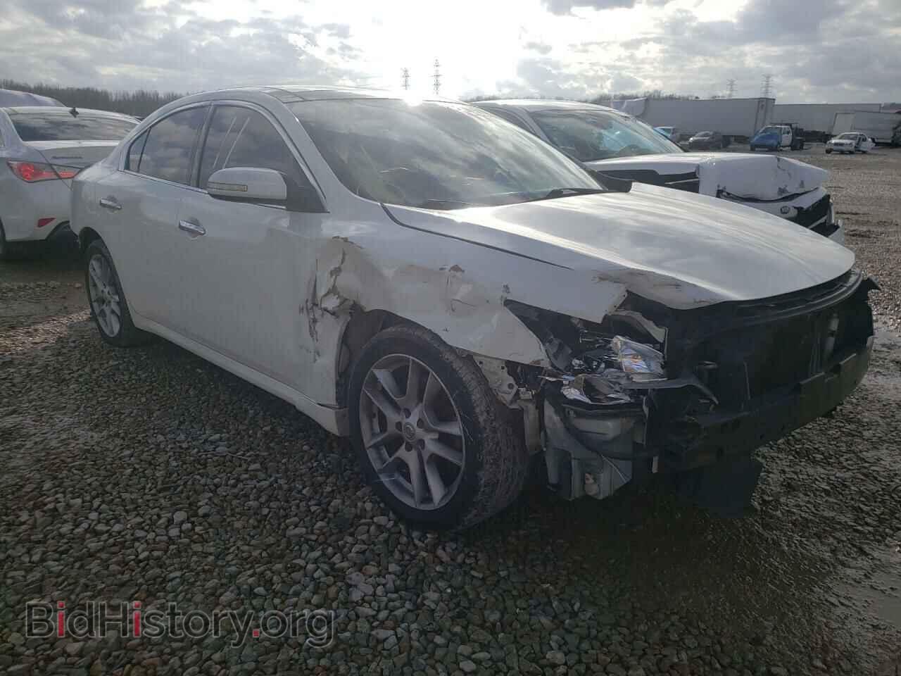 Фотография 1N4AA51E69C842979 - NISSAN MAXIMA 2009