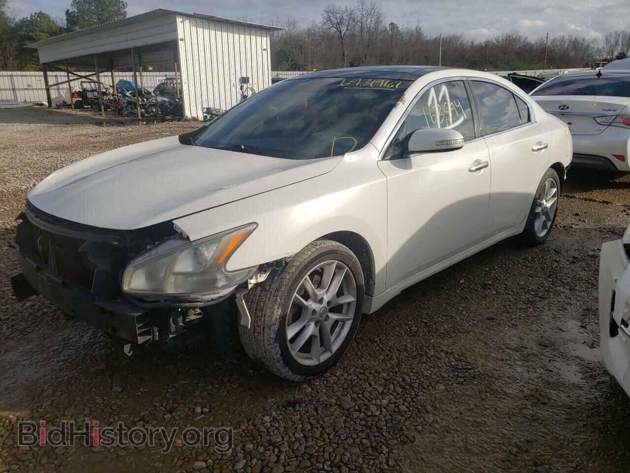 2009 NISSAN MAXIMA - VIN: 1N4AA51E69C842979 - Фото 2