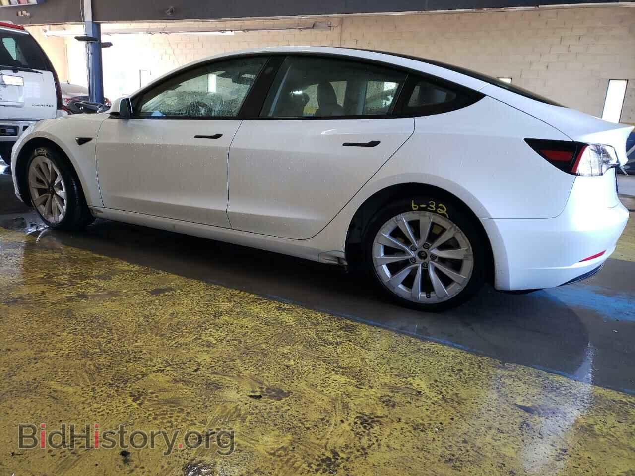 2023 TESLA MODEL 3 - VIN: 5YJ3E1EA8PF433664 - Фото 2